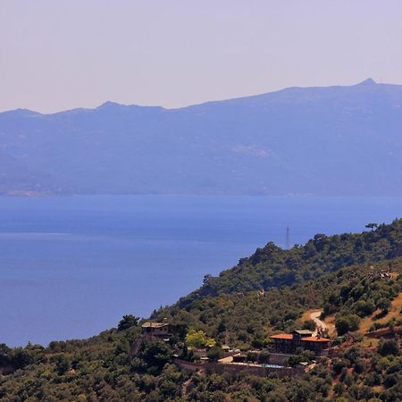 Assos Kartal Yuvasi Hotel Sazlı Εξωτερικό φωτογραφία