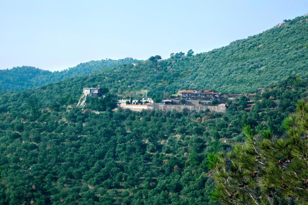 Assos Kartal Yuvasi Hotel Sazlı Εξωτερικό φωτογραφία